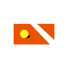 欧洲传统红土网球场系统